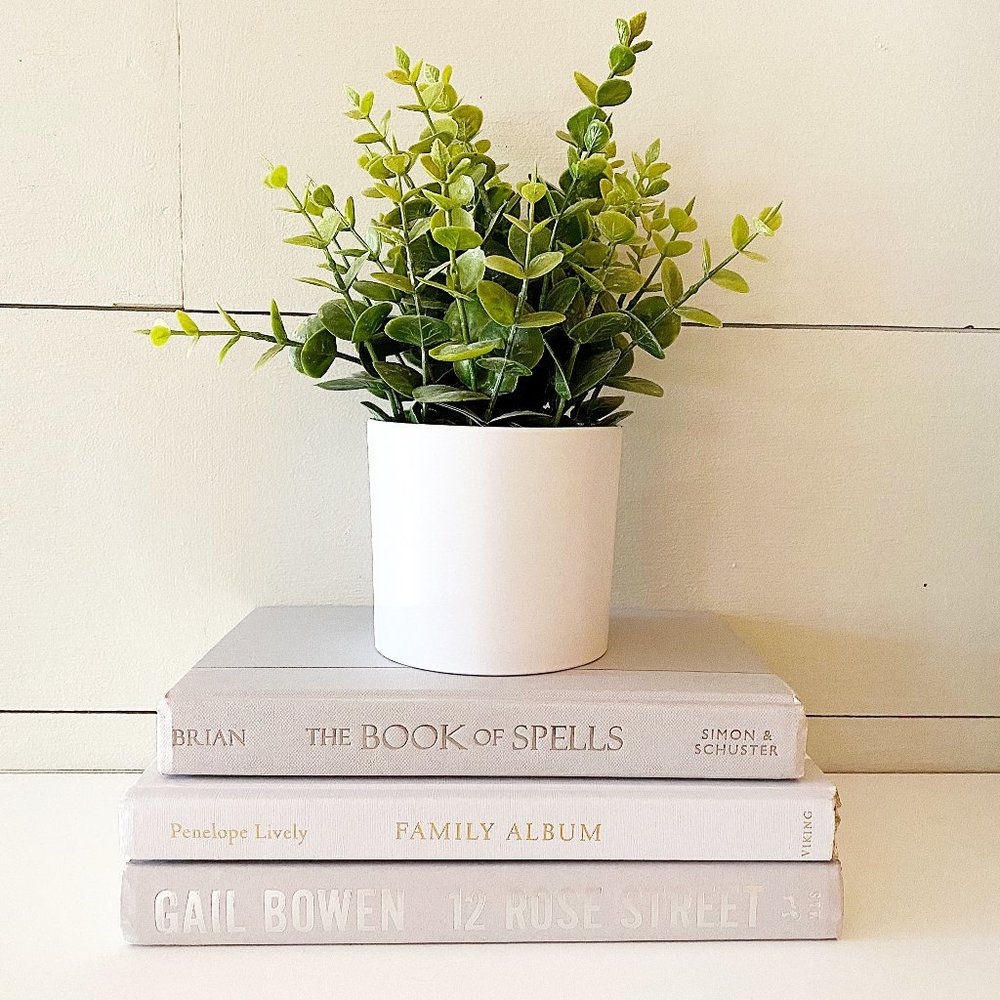 VINTAGE BOOK BUNDLE- SET OF 3